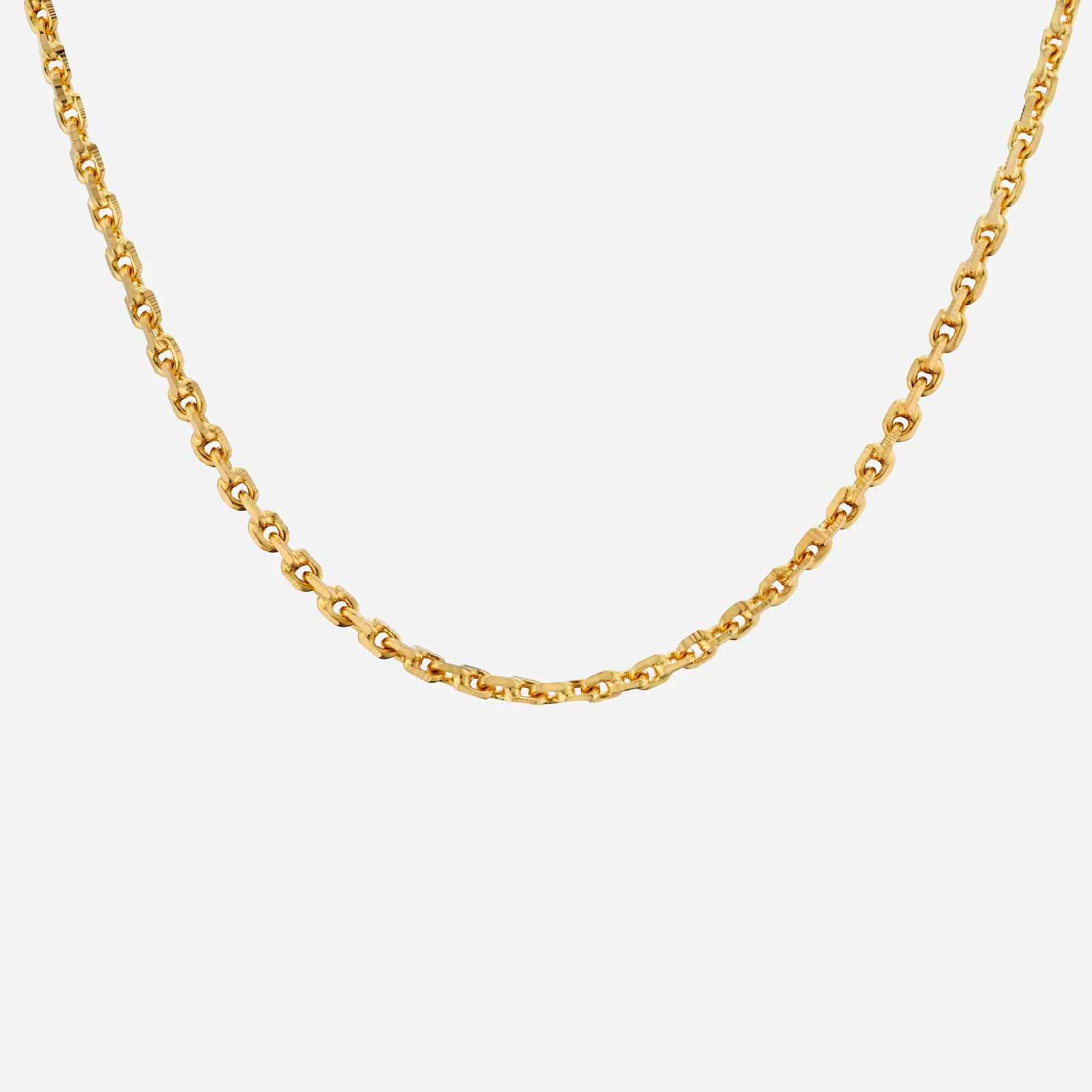 Rolo Chain in Yellow Gold (FROLO0350011A)